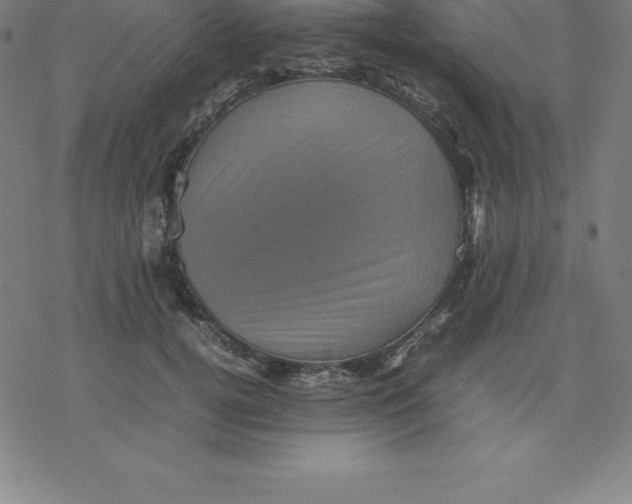 X0000077290752200611101342