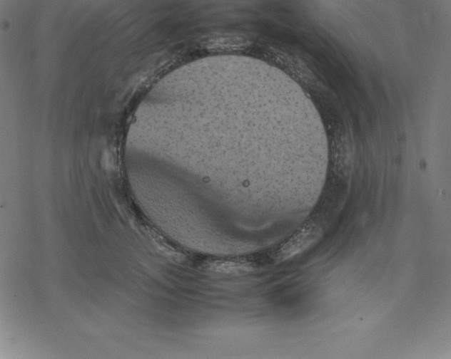 X0000077290755200611101342