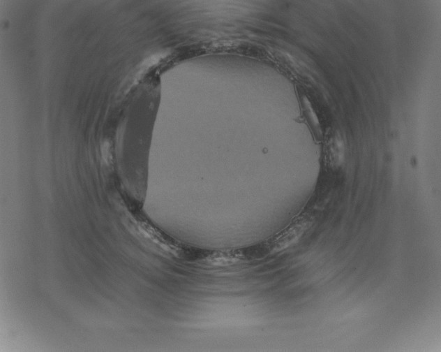 X0000077290756200611101342