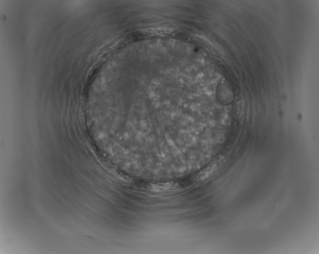 X0000077290757200611101342