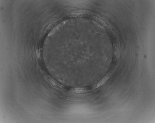 X0000077290758200611101342