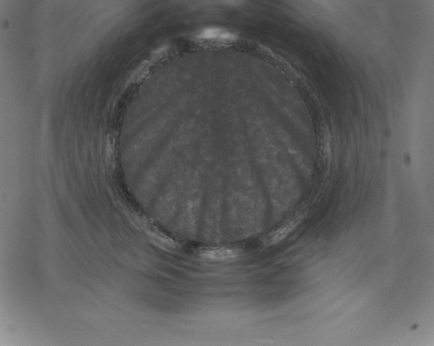 X0000077290759200611101343