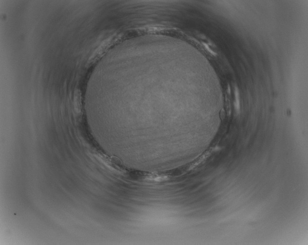 X0000077290760200611101343