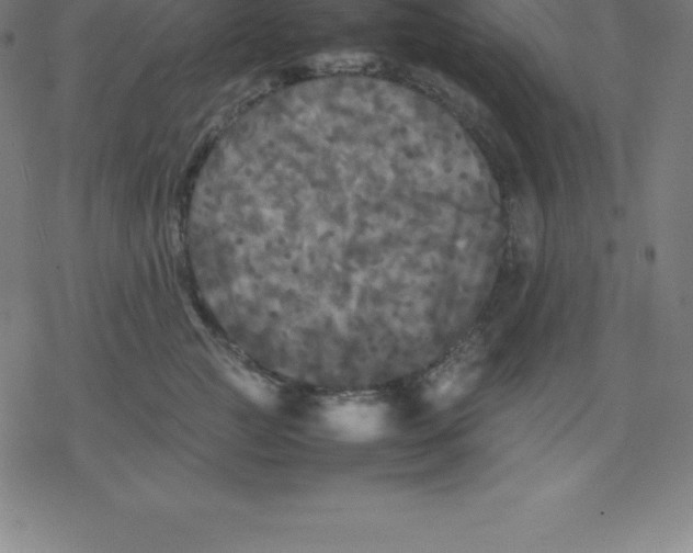 X0000077290761200611101343