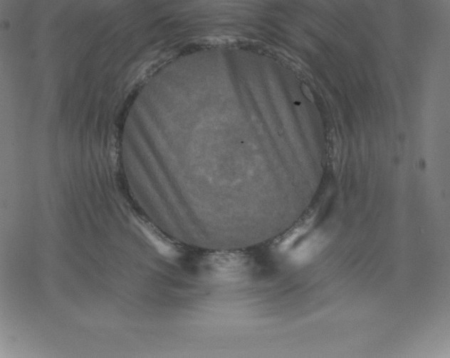 X0000077290762200611101343