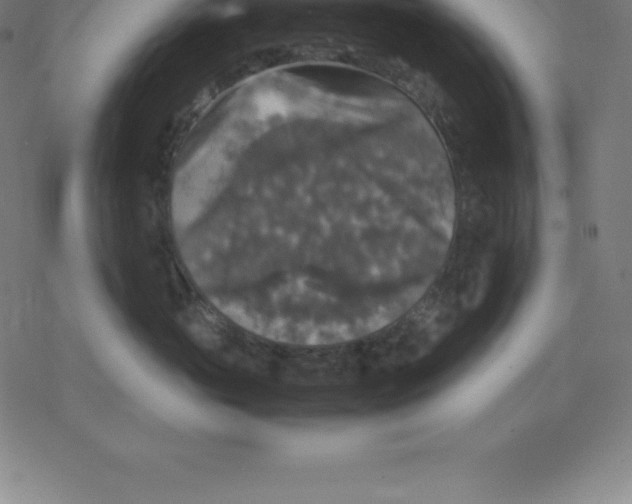 X0000077290765200611101343