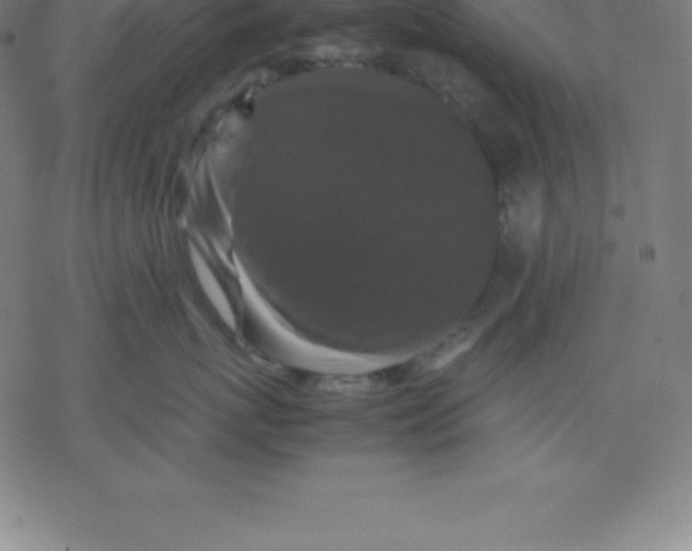 X0000077290767200611101343