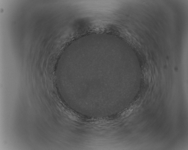 X0000077290769200611101342