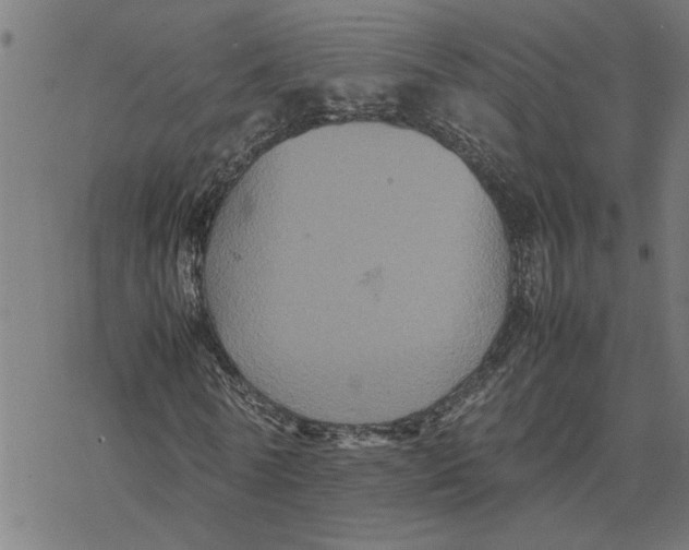 X0000077290770200611101342