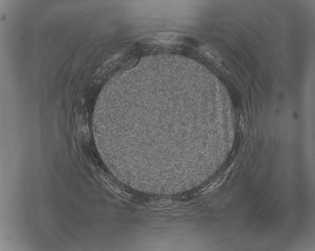 X0000077290771200611101342