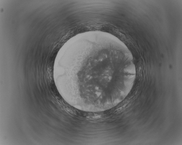 X0000077290772200611101342