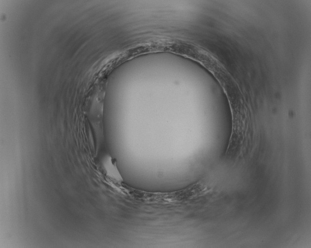 X0000077290773200611101342