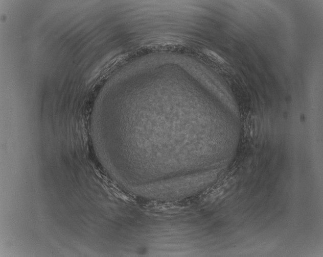 X0000077290774200611101342