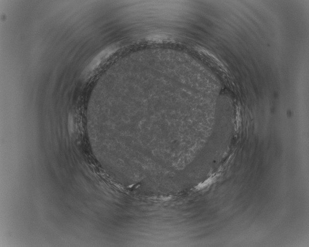 X0000077290776200611101342