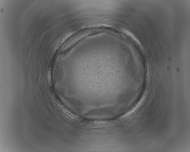 X0000077290777200611101342