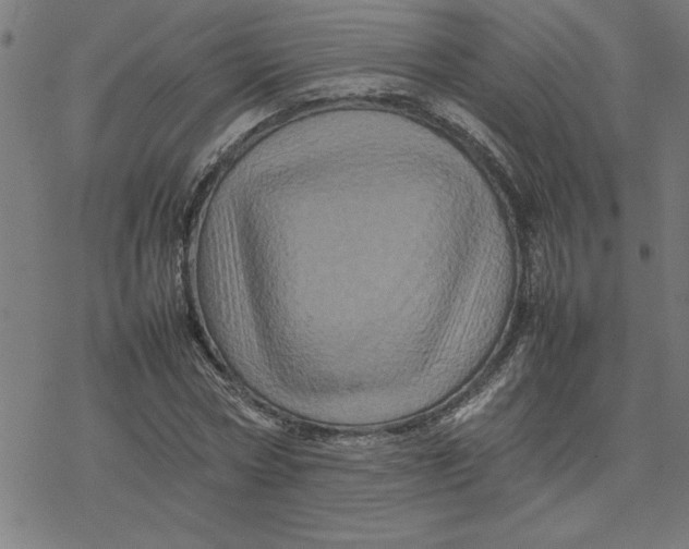 X0000077290778200611101342