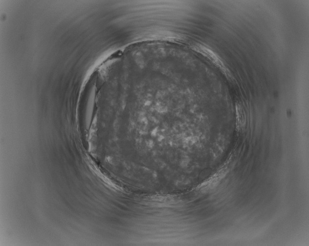 X0000077290780200611101342