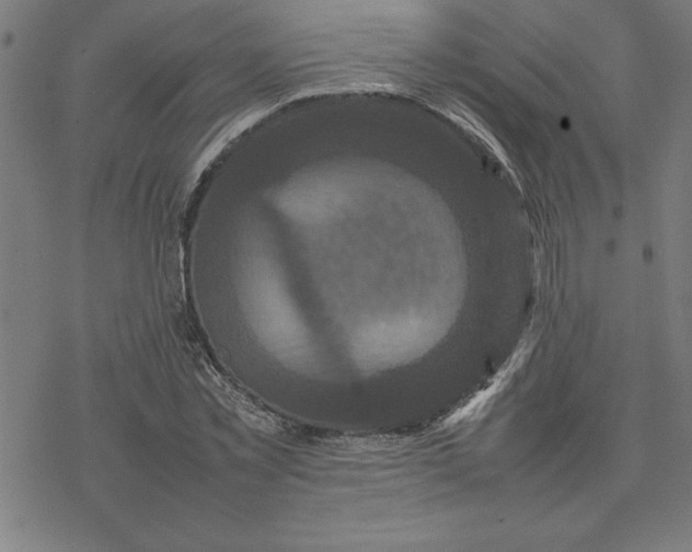 X0000077290781200611101342