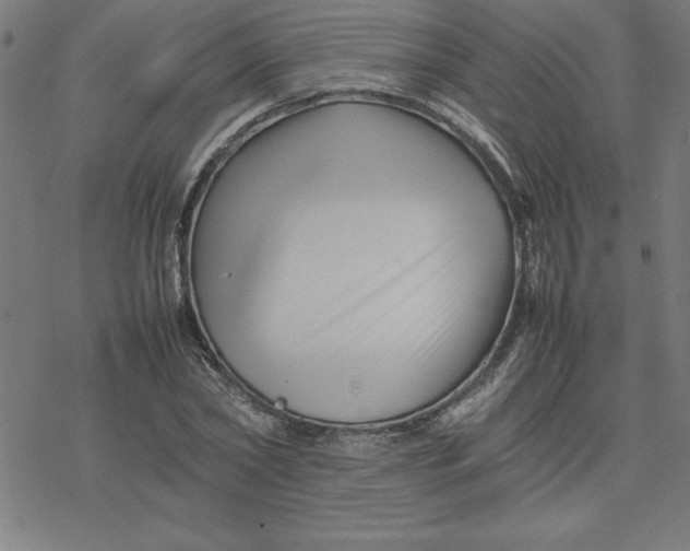 X0000077290782200611101342