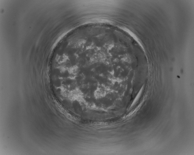 X0000077290783200611101342