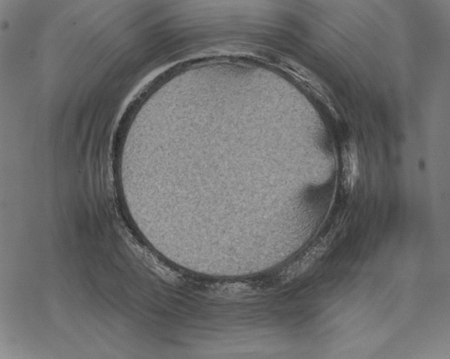 X0000077290784200611101342