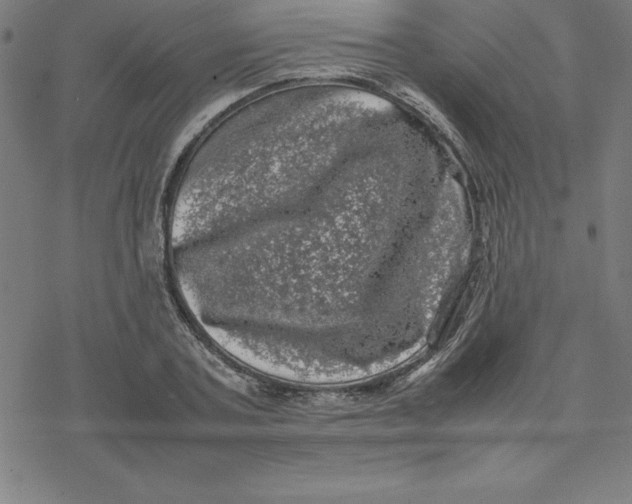 X0000077290787200611101342