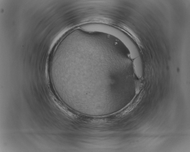 X0000077290788200611101342