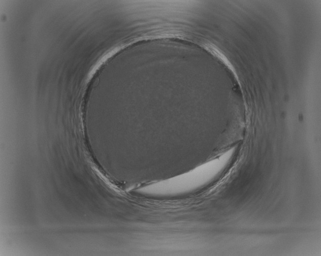 X0000077290789200611101342