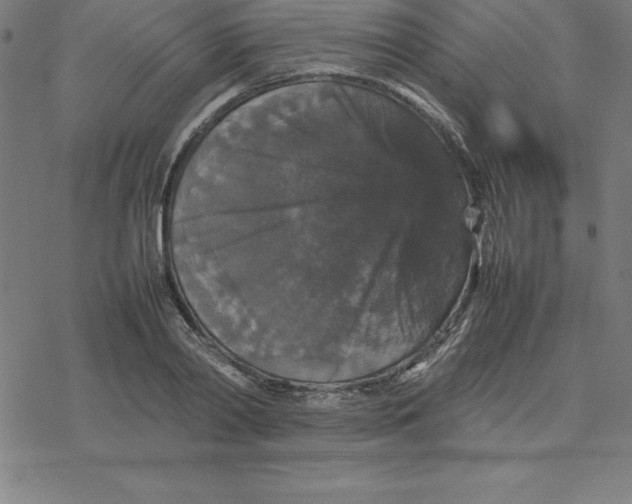 X0000077290790200611101342