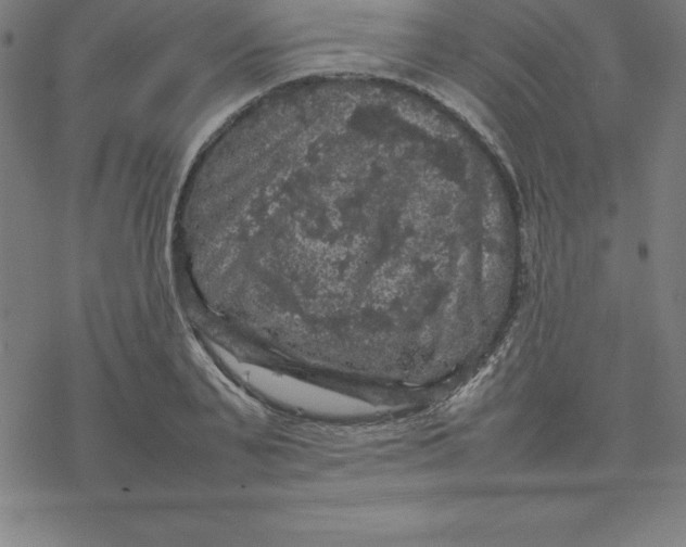 X0000077290791200611101342