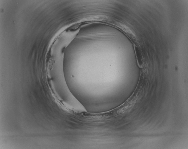 X0000077290792200611101342