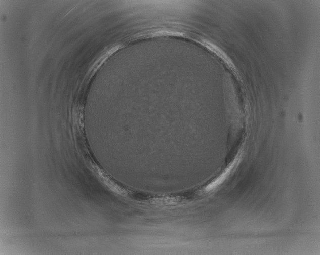 X0000077290793200611101341