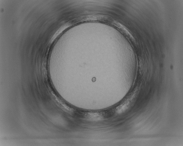 X0000077290794200611101341