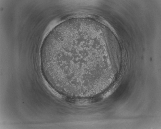 X0000077290795200611101341