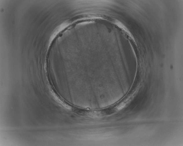 X0000077290797200611101341