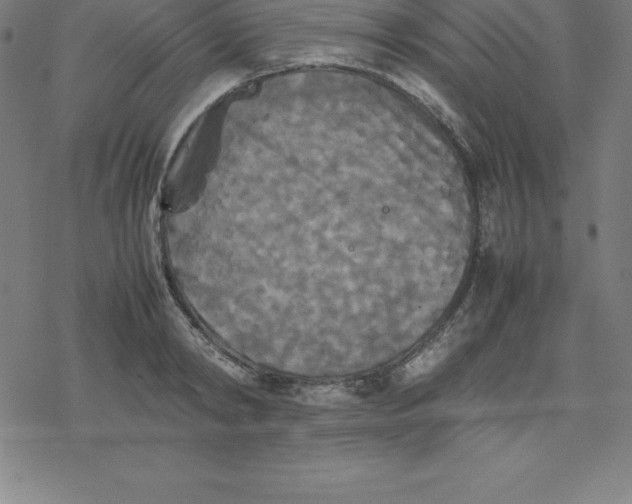 X0000077290798200611101341