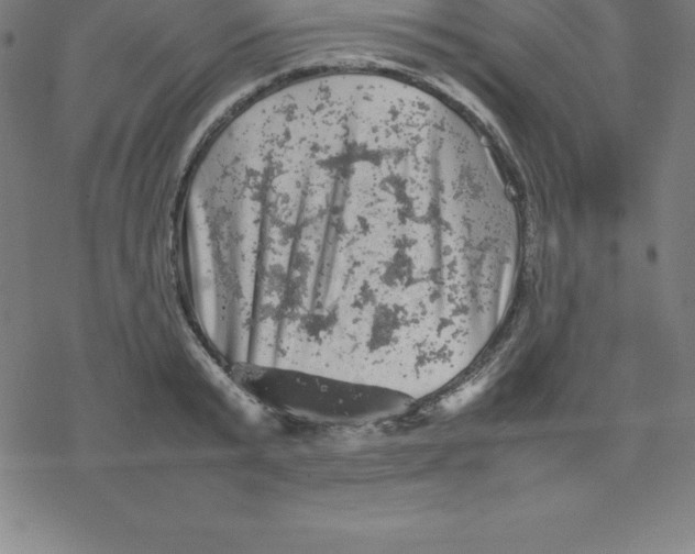 X0000077290799200611101341