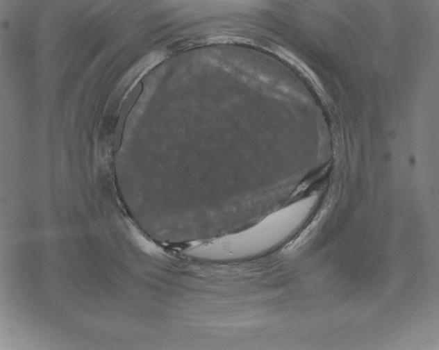 X0000077290801200611101341