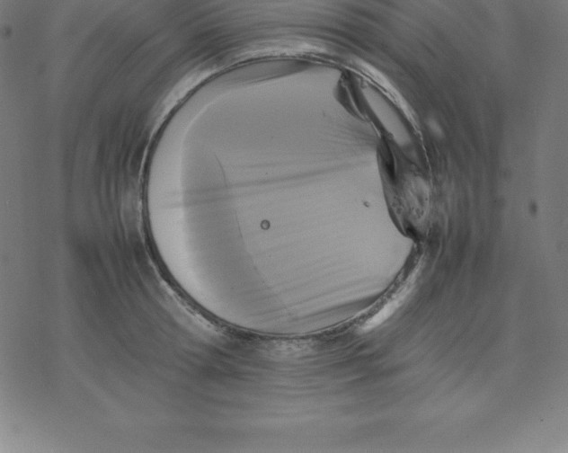 X0000077290802200611101341