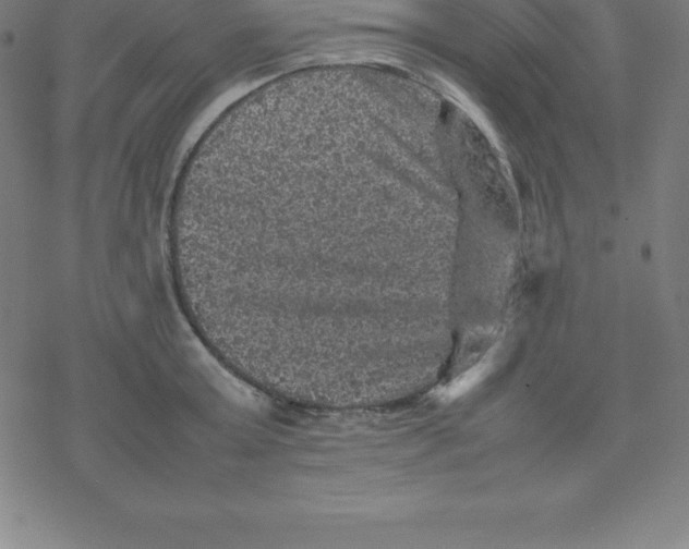 X0000077290803200611101341