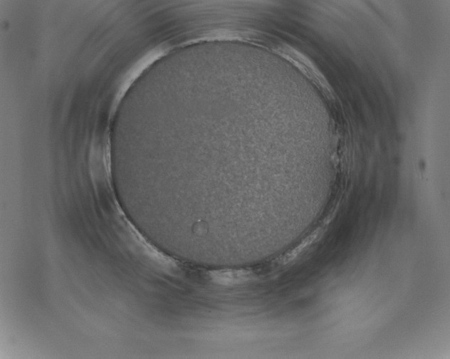 X0000077290804200611101341