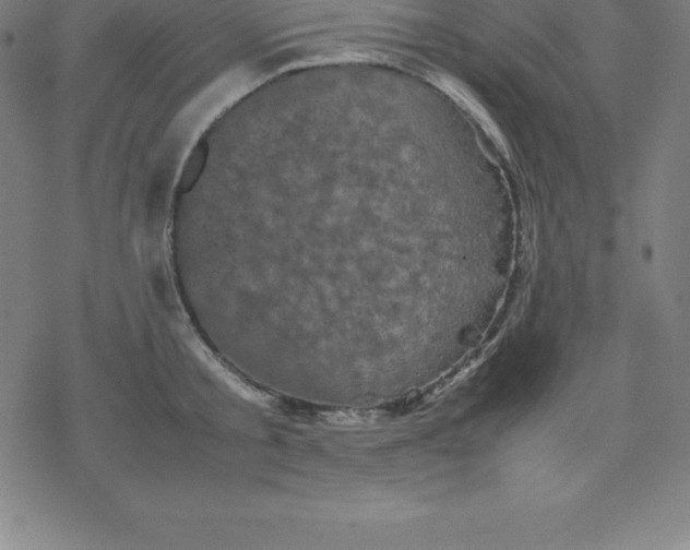 X0000077290805200611101341