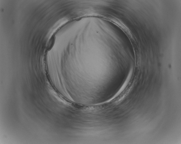 X0000077290806200611101341