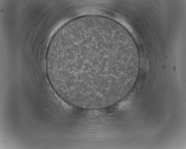 X0000077290807200611101341