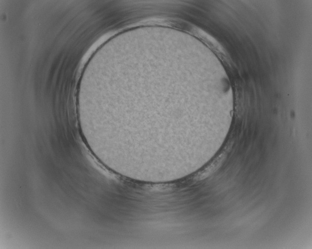 X0000077290808200611101341