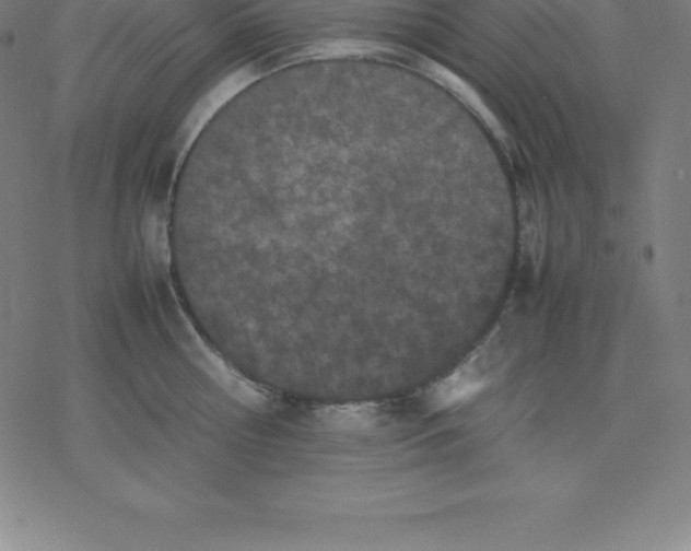 X0000077290810200611101341