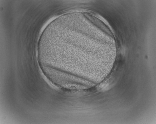 X0000077290811200611101341