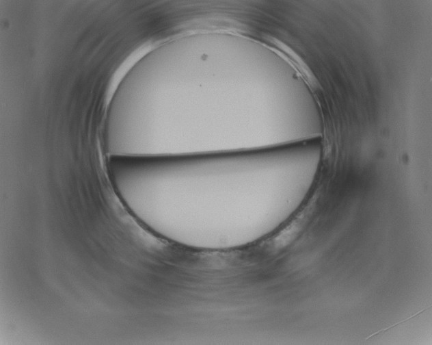 X0000077290812200611101341