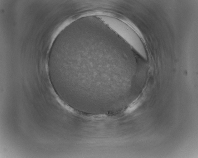 X0000077290813200611101341