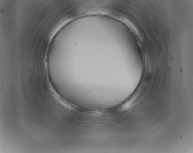 X0000077290814200611101341